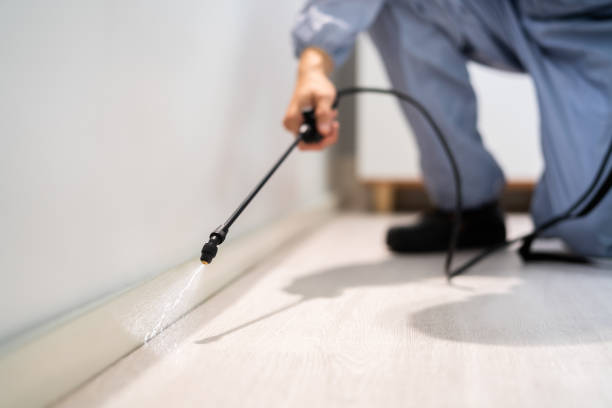 Professional exterminator conducting IPM assessment in Milan